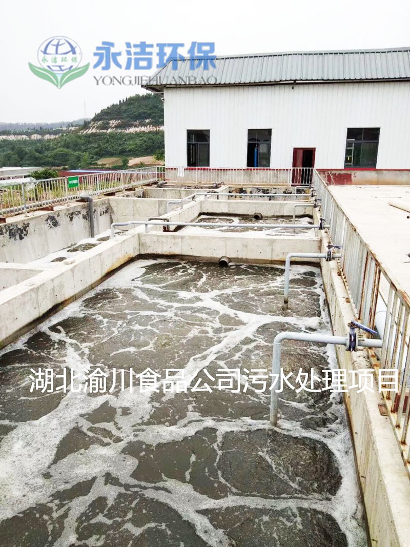 湖北渝川泡菜废水云体育官方注册-云体育(中国)